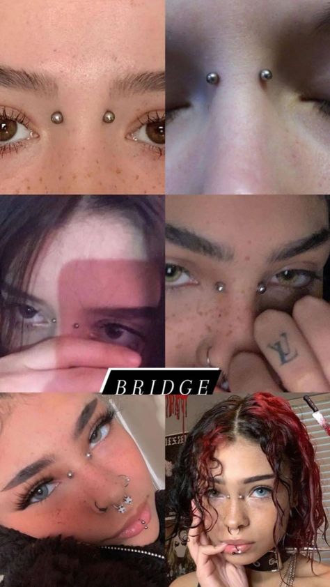 Feminine Piercings, Aesthetic Piercings Face, Piercings Face, Aesthetic Piercings, Crazy Piercings, Bridge Piercing, Piercing Chart, Pretty Ear Piercings, Face Piercings