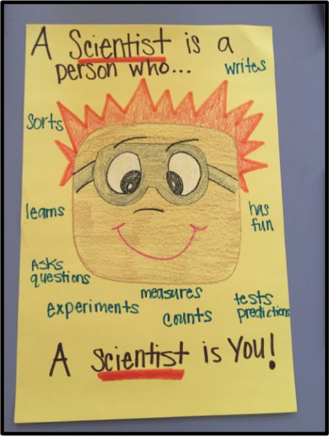 Who Is A Scientist, Draw A Scientist Activity, What Is A Scientist Anchor Chart, Mad Scientist Day At School, Matter Science Experiments, What Is A Scientist, Science Room, Preschool Stem, Science Camp