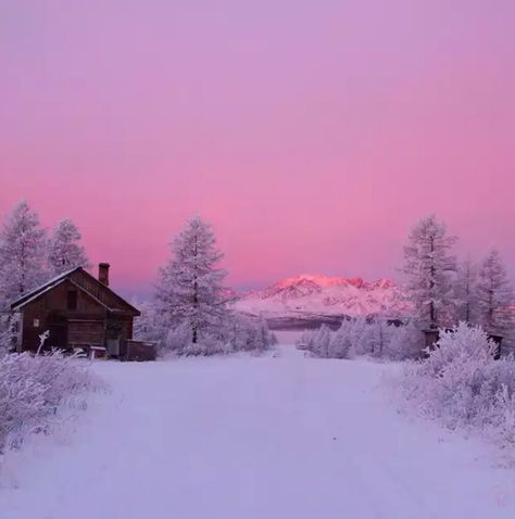 Pink Winter Sky Snowy Woods, Winter Sky, Winter Scenery, Maximalism, Snow Scenes, Winter Wonder, Winter Aesthetic, Pink Sky, Winter Landscape