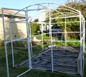 PVC Cold frame Pvc Greenhouse, Greenhouse Frame, Greenhouses For Sale, Commercial Greenhouse, Cats House, Home Greenhouse, Pvc Pipes, House Outdoor, Small Greenhouse