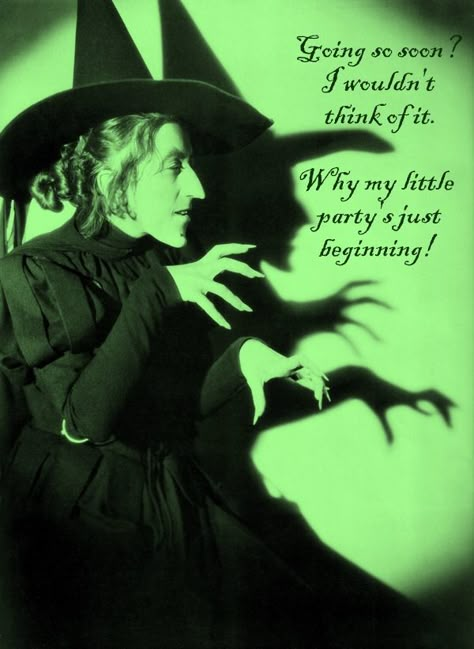 Something Wicked  I'LL GET YOU MY PRETTY..AND YOUR LITTLE DOG TOO! Wizard Of Oz Decor, Wizard Of Oz Quotes, Wizard Of Oz Movie, Wizard Of Oz 1939, Witch Quotes, Wicked Witch Of The West, Witch Of The West, Creepy Stuff, Drum Heads