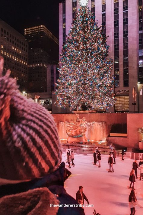 Here you will find all the best spots and insider tips for a magical Christmas in New York City with your family.      Christmas Things to do | Christmas Vacation | Christmas in New York Things To Do Christmas, Christmas New York, Christmas In New York City, Central Park Zoo, Bethesda Terrace, Christmas Nyc, Christmas Things To Do, Christmas In New York, Nyc Christmas