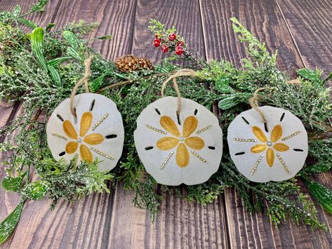 Excited to share this item from my #etsy shop: Set Of Three Sand Dollar Ornaments, Sand Dollar Ornaments, Christmas Ornament, Ornament, Beach Ornament , Ocean Ornaments, Sand Dollar #sanddollarornament #christmasornament #holidayornament #christmas #roundornament #shellornament #beachornament #oceanornament #ornament Sand Dollar Ornaments, Driftwood Christmas Decorations, Dollar Painting, Beach Townhouse, Ocean Ornaments, Painted Sand Dollars, Sand Dollar Craft, Shells Craft, Dollar Art