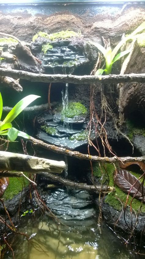 Although we don't recommend water features in with darts, this is a very cool set up for another kind of critter! Frog Paludarium, Snake Vivarium, Reptile Diy, Dart Frog Tank, Dart Frog Terrarium, Dart Frog Vivarium, Snake Cages, Snake Terrarium, Frog Terrarium