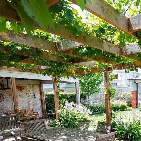 Waddell Landscape Design on Instagram: "Grape vine over rough sawn cypress pergola for the perfect afternoon lunch in dappled shade. What a place to unwind 🩷 Design, Build, Maintain with Waddell  #waddelldesign . .. ... ..... ... .. . #landscapedesign #landscaping #landscapedesignmelbourne #landscapinggeelong #landscapedesigngeelong #landscapingmelbourne #landscaper #landscapergeelong #landscapearchitect #landscapearchitecture #landscapinggeelong #geelonggardens #landscapermelbourne #firepit #courtyard #courtyarddesign #garden #gardendesign #gardendesignmelbourne #gardendesigngeelong #plants #bluestone #paving #plants #plantdesign" Grape Pergola Ideas, Grape Vines Pergola, Pergola For Grapes, Grape Vine Pergola, Grapes On Pergola, Vine Pergola, Ornamental Grape Vine Pergola, Landscape Design Melbourne, Bluestone Paving