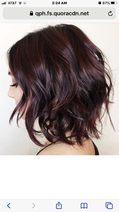 Mahogany Bob Haircut, Burgundy Hair Dark, Bob Haircut Medium Length, Short Burgundy Hair, Shades Of Burgundy Hair, Violet Hair Colors, Plum Hair, Short Dark Hair, Purple And Brown