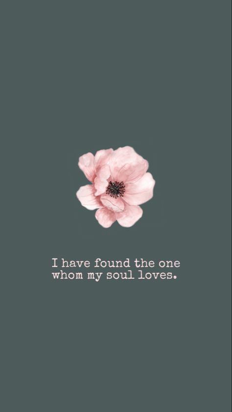 Song of Solomon 3:4 Made by floatingpaperboats Song Of Solomon 3:4 Wallpaper, Quotes For Medium Widget, Song Of Solomon 3:4, Songs Of Solomon Quotes, Heavenly Quotes, Love Scriptures, Bible Verses Kjv, 4 Wallpaper, Cute Inspirational Quotes