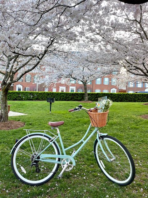 Blue Bike With Basket, Cruiser Bike Aesthetic, Cottagecore Bike, Aesthetic Bicycle, Pretty Bikes, Spring Bicycle, Bicycle Aesthetic, Aesthetic Bike, Bicycle Pictures