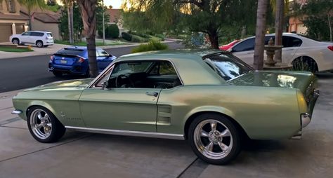 1967 Ford Mustang Coupe, 1967 Mustang Coupe, Desoto Cars, 67 Mustang, Muscle Cars Mustang, 1967 Ford Mustang, 1967 Mustang, Ford Mustang Coupe, Classic Mustang