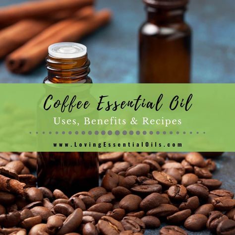 Coffee Essential Oil Uses, Benefits & Recipes - EO Spotlight Coffee Essential Oil, Nutmeg Essential Oil, Helichrysum Essential Oil, List Of Essential Oils, Essential Oil Safety, Positive Feelings, Coffee Aroma, Diy Lotion, Sugar Scrub Recipe