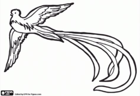 Quetzal Tattoo, Trees Drawing Tutorial, Animal Stencil Art, Birds Pictures, Eagle Drawing, Mexico Art, Bird Coloring Pages, Cowgirl Art, Whatsapp Wallpaper