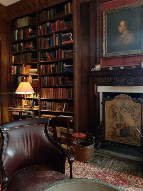 Victorian House Aesthetic, Dark Academia Furniture, Dark Academia House, Vintage Home Library, Ornate Fireplace, Academia House, Dark Academia Home, Dark Academia Room, Academia Room