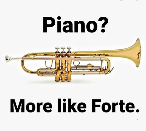 Trumpet Memes Funny, Trumpet Jokes, Orchestra Humor, Funny Band, Band Problems, Best Dad Jokes, Musician Humor, Marching Band Humor, Band Jokes