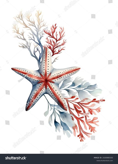 Watercolor Starfish, sea. Illustration clipart isolated on white background. Shells Embroidery, Watercolor Starfish, Sea Watercolor, Sea Illustration, Image Illustration, Starfish, Sea Shells, Card Ideas, Stock Illustration