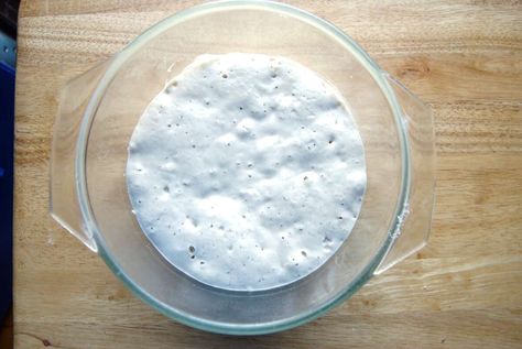 Adding sourdough to a recipe/replacing dry yeast with sourdough in a recipe | King Arthur Flour English Muffin Toasting Bread, Sourdough Basics, Recipes With Yeast, King Author, Bake Bread, Sourdough Starter Recipe, King Food, Sour Dough, King Arthur Flour