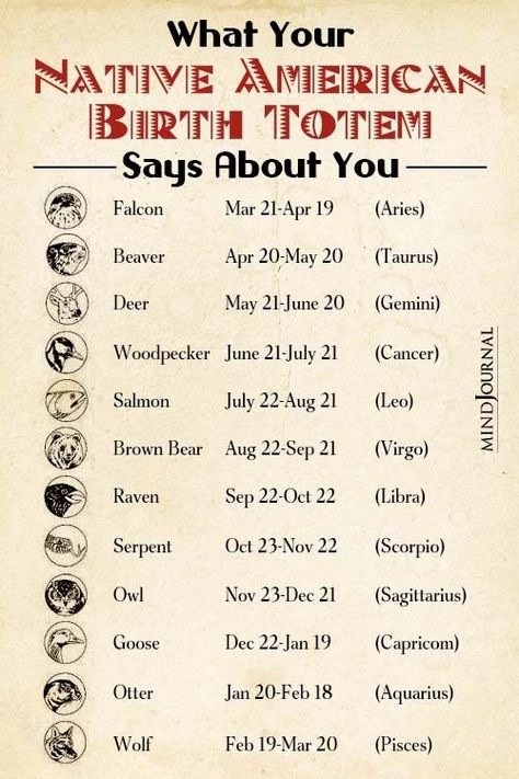 Check out your native American totem and what secrets it reveals about your personality! #birthtotem #birthtotem #nativeamericanastrology #zodiacpersonallity #totemanimal #totemsymbol Native American Star Signs, Native American Birth Signs, Native American Birth Totem, Native American Totem Animals, Native American Beliefs Spirituality, Native American Gods And Goddesses, Native American Way Of Life, Navajo Words And Meanings, Native American Words And Meanings