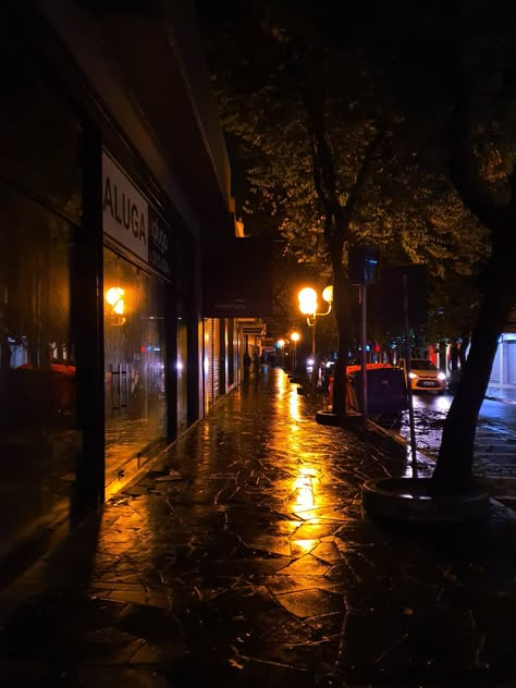 Autumn At Night, Night Autumn Aesthetic, Jocelyn Core, Cyberpunk Cities, Fall Tumblr, Aesthetic Scenery, Vinyl Aesthetic, Rainy Day Aesthetic, Dark Fall