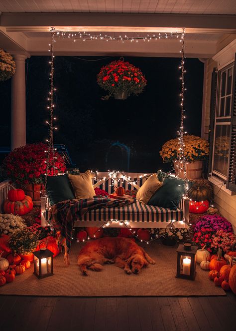 Fall Porch Decorating - Classy Girls Wear Pearls Chrismass Decore Ideas, Decorate Balcony, Bedroom Nooks, Small Decks, Autumn Home Decor Ideas, Luxury Room Decor, Cute Fall Decor, Gift Ideas Valentines Day, Fall Backyard