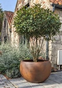 Extra Large Garden Planters, Tree planters, Containers & Extra Large Pots - IOTA UK Large Potted Plants Outdoor Patio, Front Courtyard Design, Large Flower Pots Outdoor, Large Planters Outdoor, Large Patio Planters, Large Tree Planters, Concrete Planters Garden, Patio Planter Ideas, Garden Pots Ideas