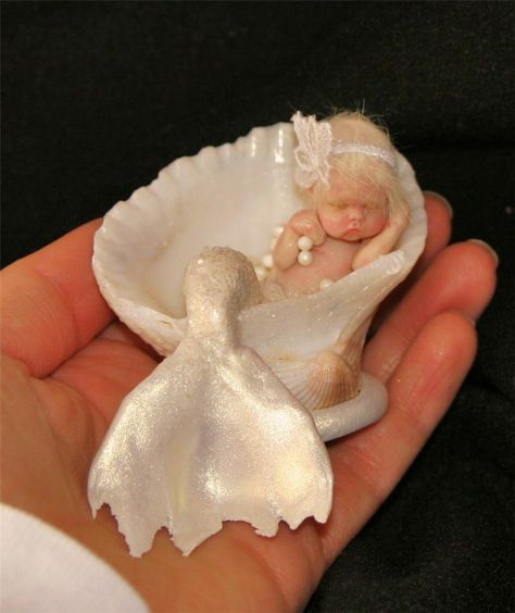 Once Upon A Fae Mythical Mermaids, Seashell Ideas, Doll Mermaid, Faerie Garden, Art Vampire, Fairy Baby, Dengeki Daisy, Mermaid Photos, Mermaid Baby