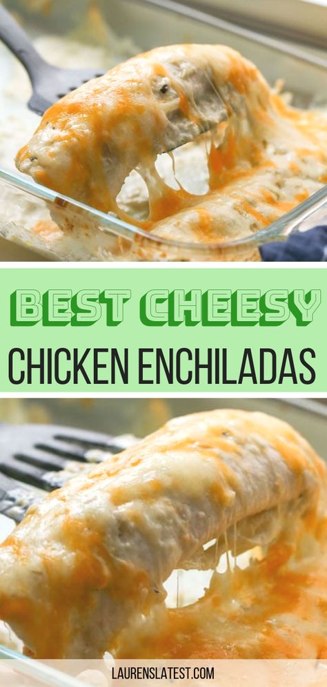 Chicken Enchiladas Recipe, Bbq Pitmasters, Cheesy Chicken Enchiladas, Fantastic Recipes, Chicken Enchiladas Easy, Cheese Enchiladas, Enchiladas Recipe, Chicken Enchilada Recipe, Enchilada Recipes