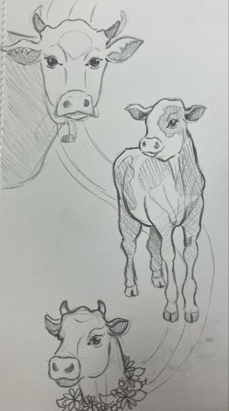 Cow Sketch, Cow Drawing, Nature Art Drawings, Animal Drawings Sketches, Sisters Art, Horse Drawings, Cow Art, Animal Sketches, Arte Animal