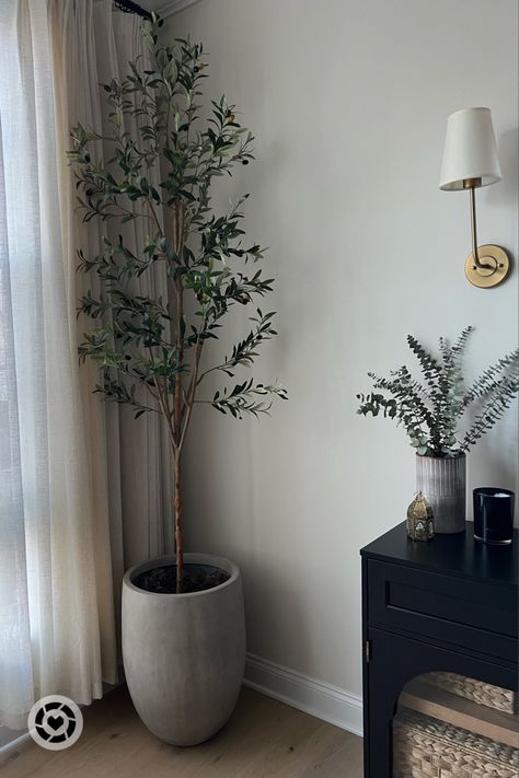 Faux olive tree Fake Olive Tree, Tree With Branches, Minimalist Tips, Weathered Concrete, Earthy Home Decor, Faux Olive Tree, Amazon Decor, Olive Trees, Nearly Natural