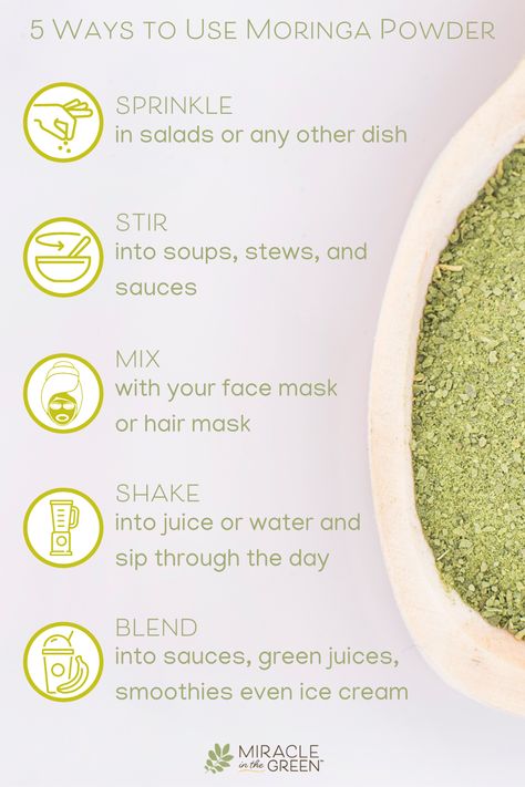 Moringa Smoothie, Moringa Recipes, Moringa Benefits, Moringa Seeds, Moringa Leaf Powder, Miracle Tree, Moringa Leaves, Moringa Powder, Being Healthy