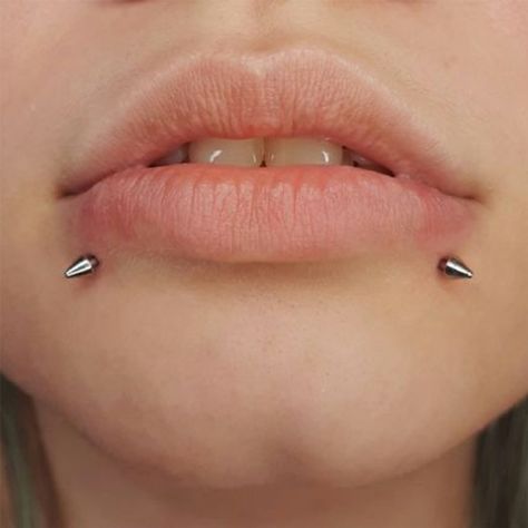 Piercing Ideas Lip, Lip Piercing Snakebites, Snake Bite Piercing Lips, Snake Bites Lip Piercing, Snakebite Piercing, Snake Piercing, Snake Bites Piercing, Cheek Piercing, Piercing Snake