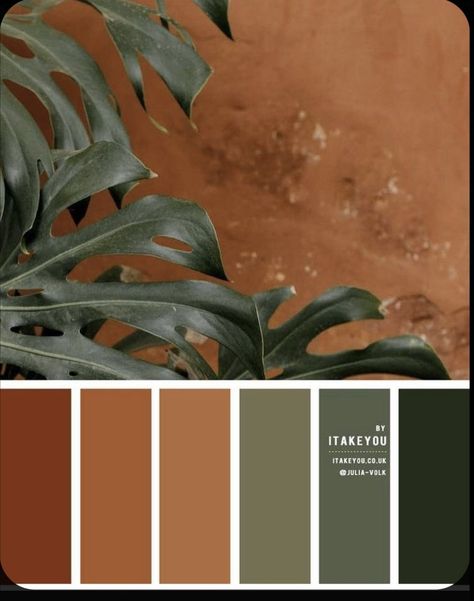 Terracotta Colour, Earthy Bedroom, Orange Color Palettes, House Color Palettes, Pintura Exterior, Living Room Orange, Deco Nature, Orange Kitchen, Colour Ideas