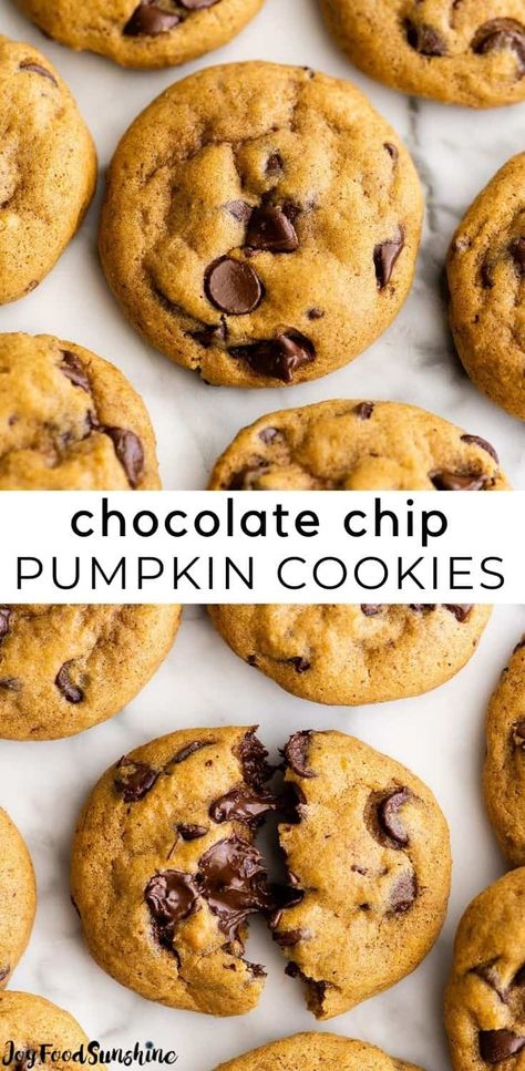 These pumpkin chocolate chip cookies are chewy on the outside and soft on the inside. They're perfectly sweet with just the right amount of cozy fall spices! These chocolate chip pumpkin cookies are easy to make, and will become your new favorite fall cookie recipe! Soft Top Cookies, Easy Pumpkin Chocolate Chip Cookies, Pumpkin Chocolate Chip Cookies Recipe, Pumpkin Chocolate Chip Cookies Easy, Best Ever Chocolate Chip Cookies, Chocolate Chip Pumpkin Cookies, Pumpkin Chip, Cookies With Chocolate Chips, Soft Pumpkin Cookies