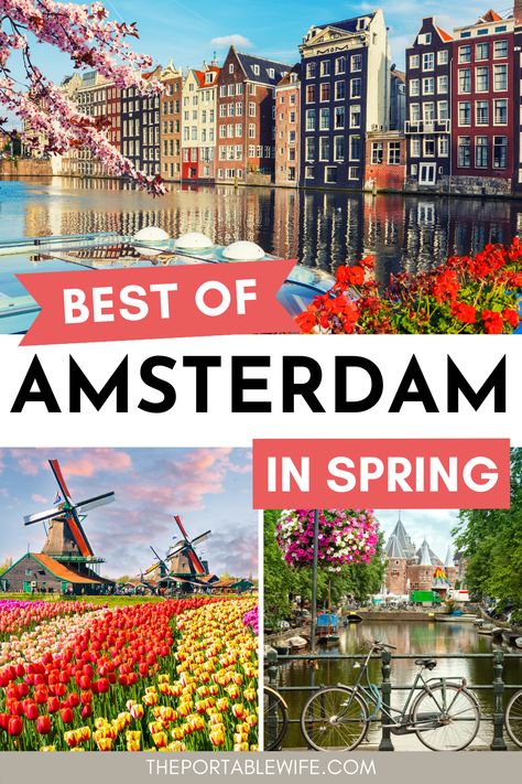 Visit Netherlands, Visiting Amsterdam, Luxembourg Travel, Amsterdam Attractions, Amsterdam Itinerary, Day Trips From Amsterdam, Amsterdam Bucket List, To Do In Amsterdam, Europe Holidays