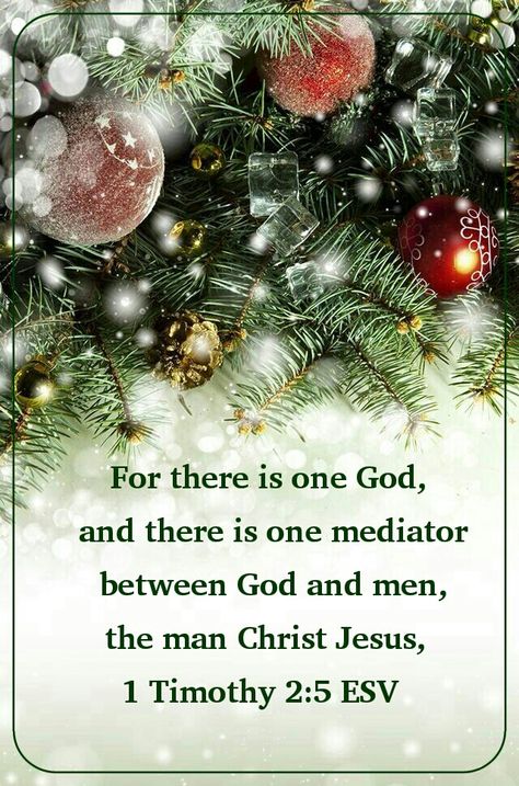 Merry Christmas Bible Verse, Christmas Scriptures, Bible Verses About Nature, December Scriptures, Christmas Card Verses, Christmas Verses, Christmas Scripture, Christmas Bible Verses, Christmas Bible