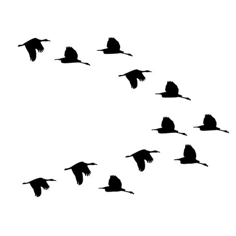 Flock Of Ducks Flying Silhouette | Free SVG Ducks Flying Silhouette, Duck Flying Tattoo, Ducks Flying Tattoo, Flying Duck Drawing, Ducks Flying, Duck Photography, Bird Silhouettes, Duck Silhouette, Fly Drawing