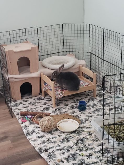 It's 3 ft by 5 ft area using wire cube storage grids and zip ties. Bunnies love fleece blankets, so I used 2 and half yards of fleece to cover a small area rug. Bunny Enclosure, Wire Cube Storage, Bunny Setup, Wooden Hamper, Bunny Things, 2 Bunnies, Puppy Pens, Pet Rabbits, Rabbit Litter Box