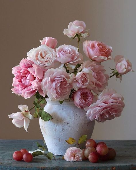 Parfum Flower Company в Instagram: «Sometimes, a shot will truly take your breath away and this is one of them 😍 So simple, so beautiful ❤ 📸 @marcofoghinazzi #roses…» Still Life Flowers, Flower Company, Fresh Flowers Arrangements, Blooming Rose, Pastel Art, All Flowers, Beautiful Blooms, Flowers Photography, Beautiful Roses