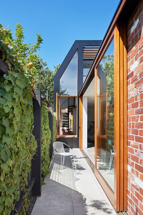 Narrow Terrace, House Back Extension, Facade Structure, Side Path, Terrace Houses, Newport House, New Zealand Architecture, Back Extension, Modernist Interior