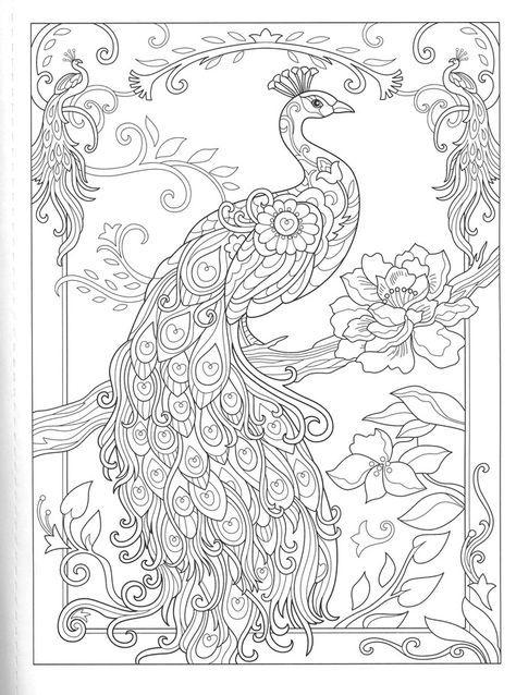 Peacock Coloring Pages, Peacock Drawing, Glass Painting Patterns, Peacock Wall Art, Glass Painting Designs, Peacock Painting, Bird Coloring Pages, Adult Colouring Pages, Peacock Art