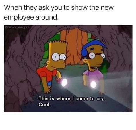 Where I go to cry Retail Humor, Workplace Humor, Fraggle Rock, New Employee, Office Humor, Work Memes, Work Humor, Work Quotes, The Villain