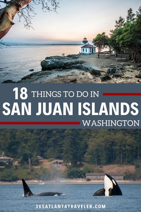 17+ Sensational Things To Do in San Juan Islands in Washington State 20 San Juan Islands Washington, Washington State Hikes, Washington Vacation, Washington State Travel, Lopez Island, Visit Seattle, Washington Travel, Beyond Borders, Friday Harbor