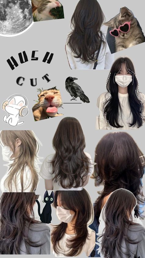 Hush Cut, Cotton Candy Hair, Trending Hair, Candy Hair, Hair Trend, Cotton Candy, Candy, Collage, Hair