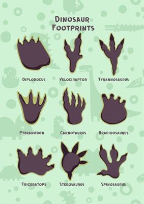 Dinosaur Feet Template, Diy Fossils, Paw Print Drawing, Dino Tracks, Dino Footprint, Dinosaur Activities Preschool, Puzzle Ideas, Animal Footprints, Dinosaur Tracks