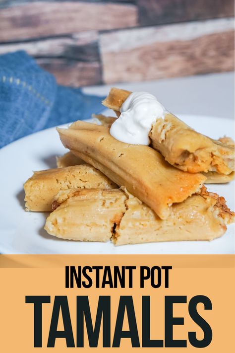 Instant Pot Chicken with Penne in Tomato Sauce<span data-pbs-title-marker-post-id="1558"></span> Instant Pot Tamales, Beef Tamales, Homemade Tamales, Tamale Recipe, Pork Loin Roast, Family Look, Easy Mexican, Instant Recipes, Easy Instant Pot Recipes