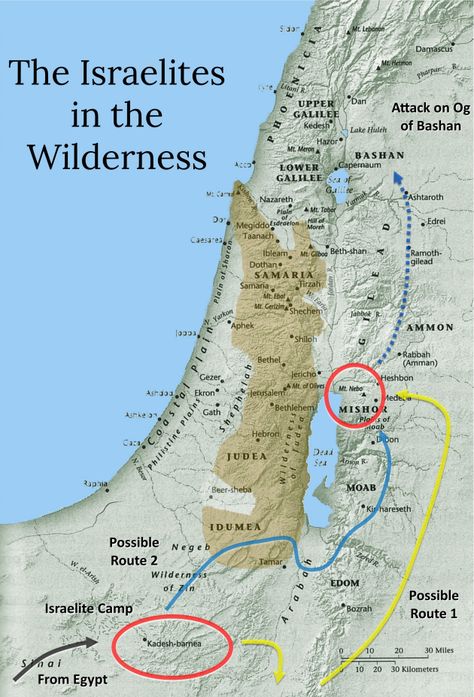 Israelites In The Wilderness, Lebanon Map, Bible Maps, Teen Bible Study, Bible Genealogy, Bible Aesthetic, Booklet Cover, Bible Mapping, Family Fun Night