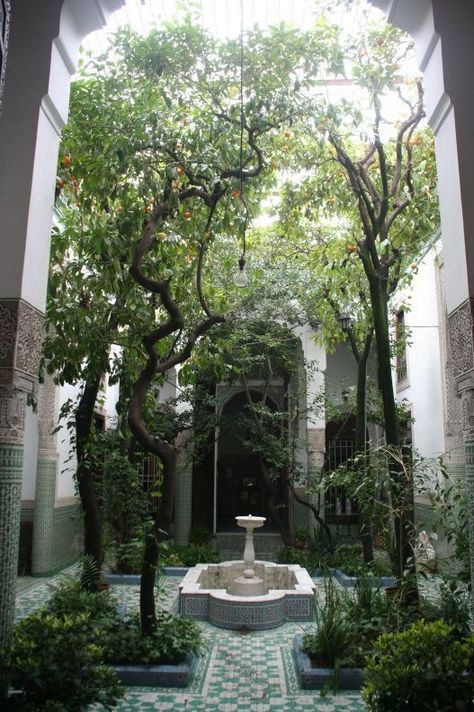 Moroccan Courtyard, Moroccan Garden, Indoor Courtyard, Culture Center, 아파트 인테리어, Patio Interior, Design Hotel, Arabic Language, Interior Garden