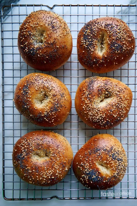 Make Bagels, How To Make Bagels, Best Bagels, Artisan Bread Recipes, Bagel Shop, Homemade Bagels, Bagel Sandwich, Gf Bread, Bagel Recipe