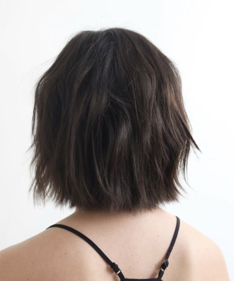 Soft Undercut, Anh Co Tran, Haircut Types, Shorter Hair, Celebrity Hair, Shoulder Length Hair Cuts, Celebrity Hair Stylist, Haircut Hairstyle, Haircut And Color