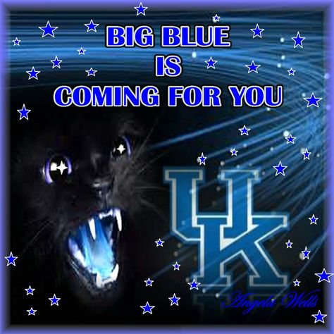 #BornBlue #BBN Big Blue Kentucky Wildcats Basketball, Wildcats Basketball, Kentucky Wildcats, Big Blue, Wild Cats, Kentucky, Basketball, Blue, Quick Saves