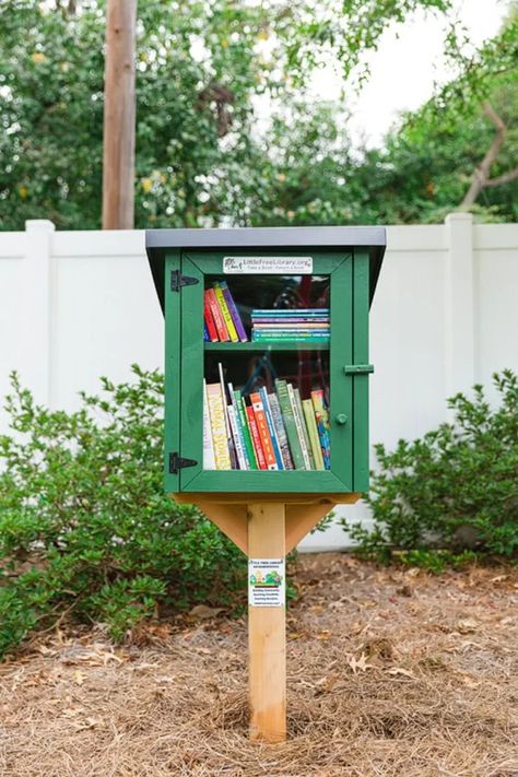 Little Free Library Plans, Little Free Pantry, Tiny Library, Street Library, Library Plan, Amish Crafts, Lending Library, Mini Library, Little Library