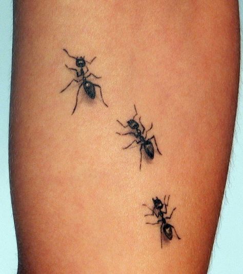 ant tattoo.  For Grandma Ant <3 Tato 3d, Ant Tattoo, Tier Tattoo, Bug Tattoo, Insect Tattoo, 3d Tattoos, Tattoo Bracelet, 3d Tattoo, Symbolic Tattoos